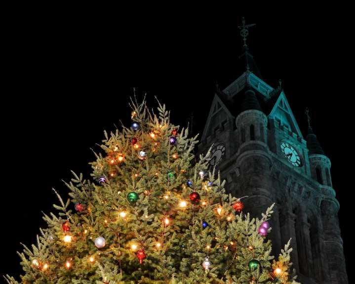 Holyoke’s holiday traditions return with tree lighting and High Street celebration