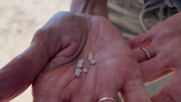 Environmental groups host beach cleanup in Galveston to tackle plastic pellet pollution problem in Texas