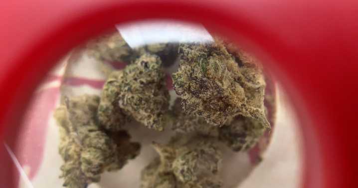 'A TICKING CLOCK': Local THC industry looking to combat federal hemp ban