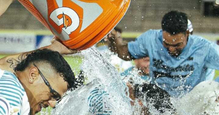 LVBP: Resultados de este viernes 31 de octubre