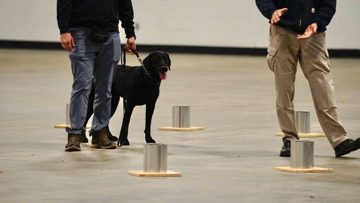 Police K-9 teams training ahead of the Kentucky Derby