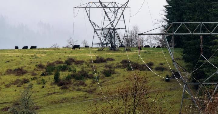 PacifiCorp Warns of Bankruptcy Risk