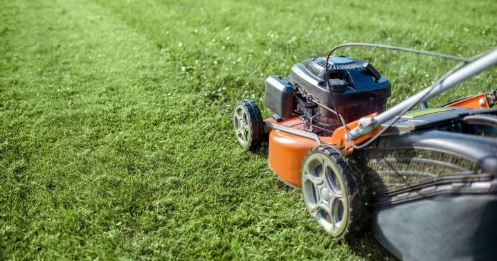 Things to do in the garden this week