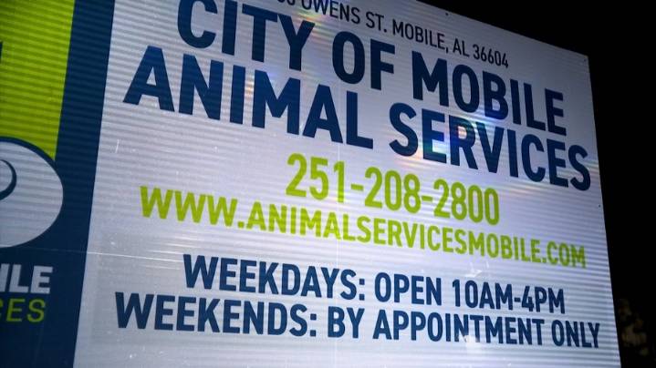 City of Mobile Animal Services finds 30+ dogs inside house
