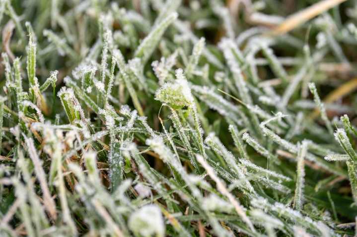 Mass. weather: The season’s 1st snowfall expected on Veterans Day as cold front moves in