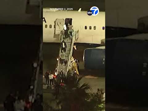 THE CHAMPS ARE BACK! Dodgers touch down in LA after World Series win