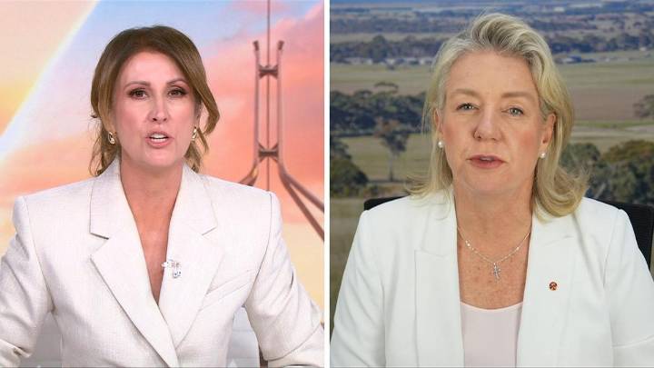 Sunrise’s Nat Barr takes on Senator Bridget McKenzie over ‘$100k meeting’ for Liberals net zero plan