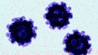 US cases of norovirus on the rise with double the rate of positive tests since August