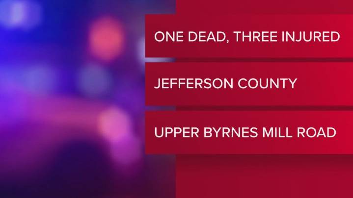 1 dead, 3 injured Sunday night in Brynes Mill crash
