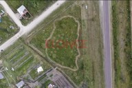 En María Grande realizan un "arboretum de especies nativas": tiene la forma de la provincia de Entre Ríos