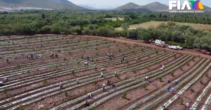 Michoacán al límite: la violencia cobra vidas y deja al estado sumido en el miedo y la impunidad