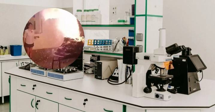 Explosión en escuela de Argentina: ¿Qué sustancia detonó el experimento del volcán?