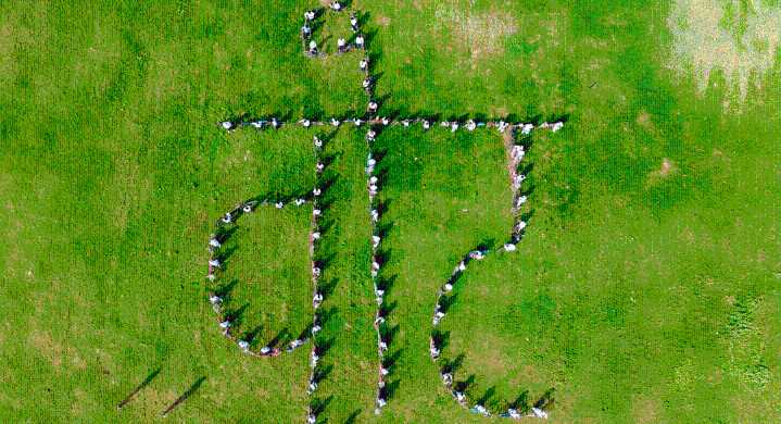 Why the NDA’s Bihar strategy worked and what the exit polls say about it