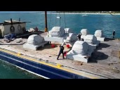 Behind the underwater sculpture park transforming concrete into a coral reef
