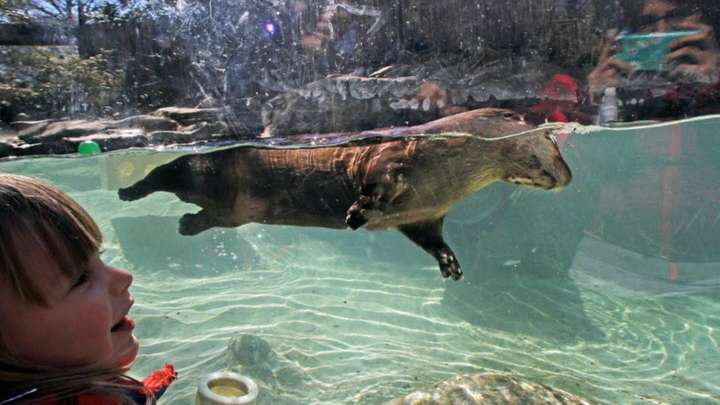 What to know about Providence