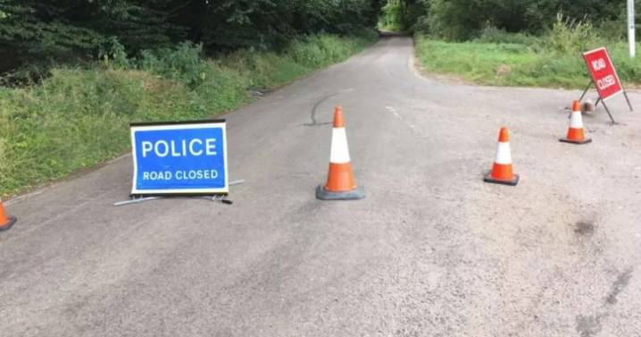 'Alarming childlike sex doll' seen in woods mistaken for human body