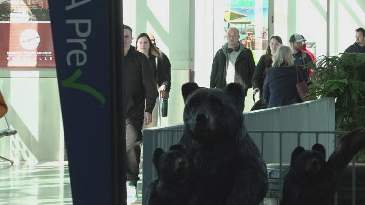 Air travel remains smooth in Knoxville despite government shutdown but it could change 'at any time'