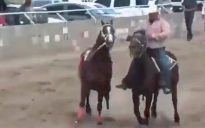 Al menos siete muertos por balacera en carrera de caballos en Parral, Chihuahua