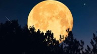 Biggest and Brightest Supermoon of 2025 to Light Up the November Sky Tonight