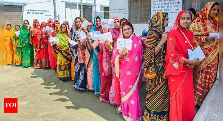 Bihar polls: Phase 1 sees 'historic' 64.66% voter turnout, Muzaffarpur top list; deputy CM's convoy attacked