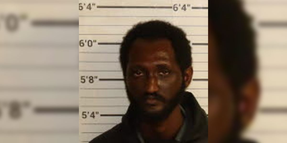 Man accused of randomly attacking 79-year-old woman walking her dog