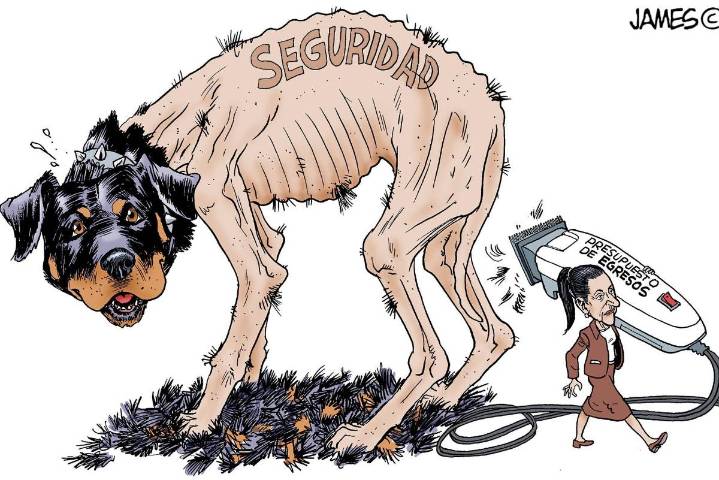 Trasquilada a la seguridad