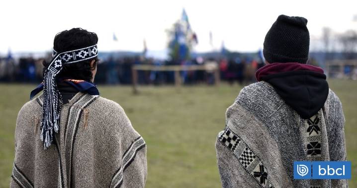La Araucanía: Conadi reconoce pérdida del 70% de tierras y activa restitución para comunidad Molcoche