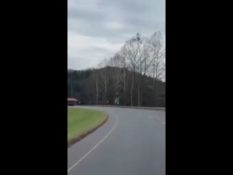 NC Woman reacts to cat through windshield