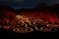 Brooklyn Botanic Garden Lights Up the Night With All