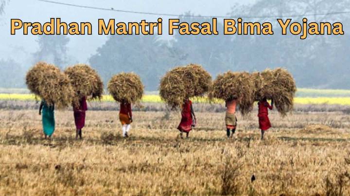 Farmers get bigger safety net as PM Fasal Bima Yojana adds new risk categories