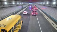 Wrong-way rover: Dog is rescued from a busy Boston tunnel during rush hour