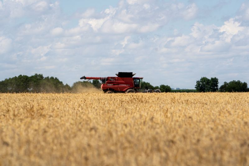 China buys first US wheat cargoes since 2024 after leaders' meeting, traders say