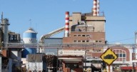 Celulosa Argentina vuelve a producir y mira otra vez al exterior tras meses de parálisis