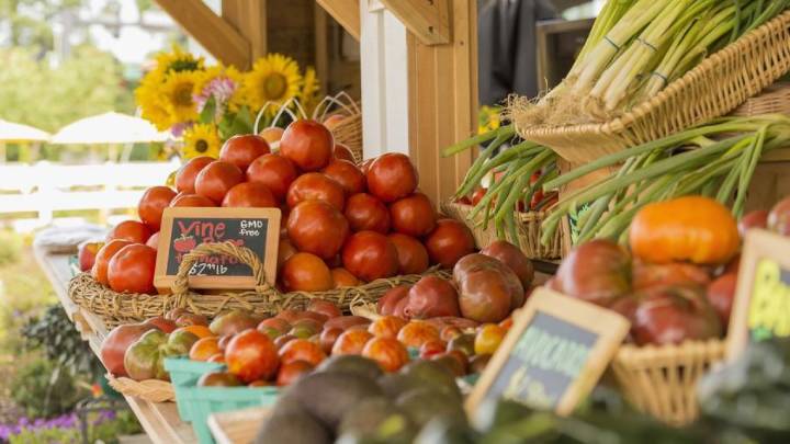 SNAP sales down at Mass. farmers markets since Nov. 1