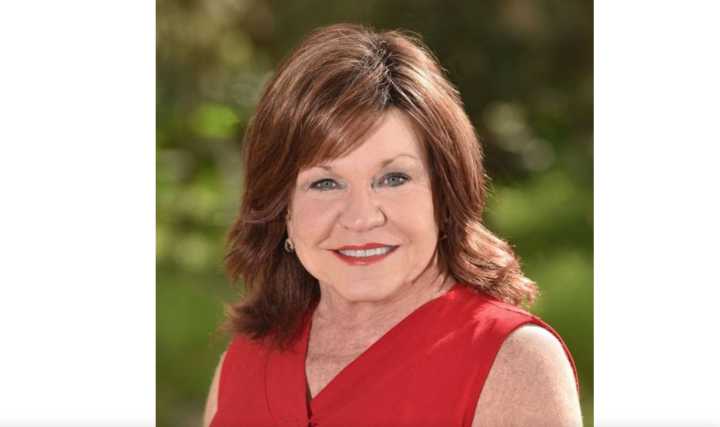 Democrats seek to oust Paula Stark as her campaign finance troubles persist