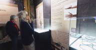 New museum in Garden Grove offers immersive experience of the Shroud of Turin