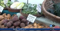 Corvallis-Albany Farmers' Markets works to combat SNAP cuts