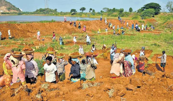 MGNREGA employment declines in Andhra Pradesh