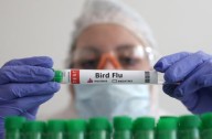 US records second human bird flu death of year