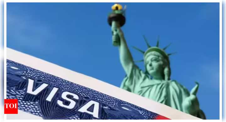 Despite visa troubles, Indian students on US campuses up 10%; largest international group in 2024