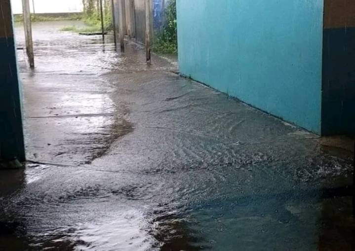 Docentes proponen clases en casa tras inundación de la escuela por lluvias