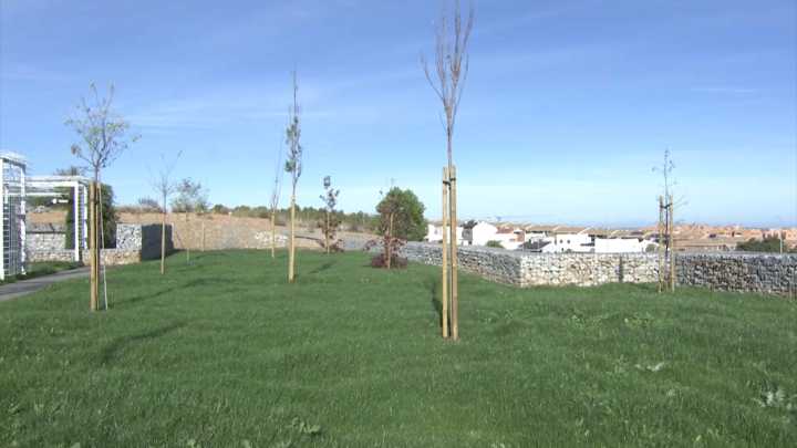 El Bosque de la Memoria: un cementerio sin lápidas ni nichos en Cáceres