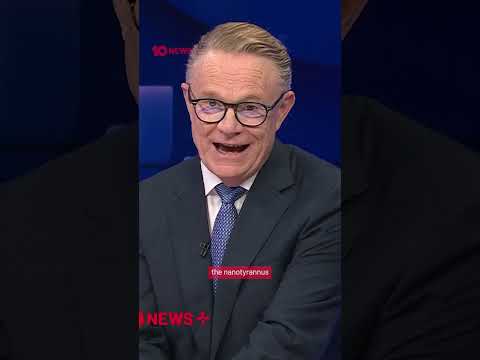 Researchers Discover Potential New Dinosaur Species In 67 Million-Year