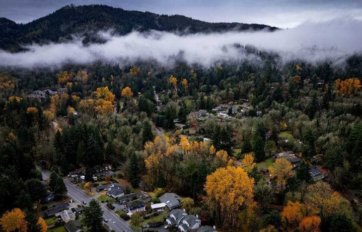 Autumn scene in Issaquah