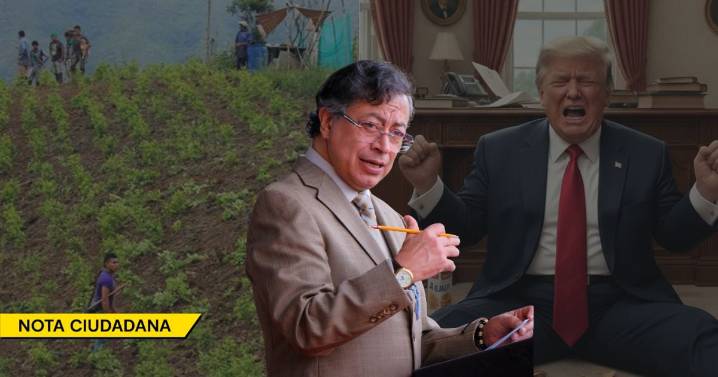 Lo que Trump no sabe es que Petro es de los presidentes que más ha erradicado los cultivos de coca