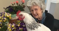 North East former Land Girl nicknamed 'The Chicken Whisperer' celebrates 100th birthday