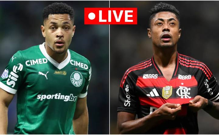 Palmeiras vs Flamengo LIVE: Kick off time and where to watch the 2025 Copa Libertadores final