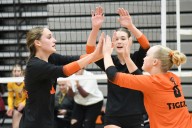 Tigers advance to Region 4 championship, put out Wildfire in straight sets