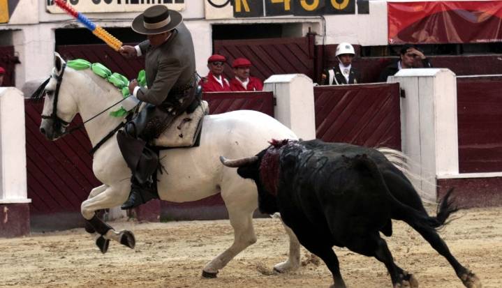 “El caballo le entrega todo al hombre, pero solo si este sabe respetar su nobleza”