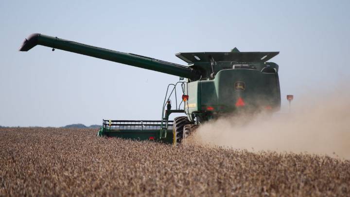 Mennonite Man Sells His Toronto Raptors Seat to Buy $400,000 Combine